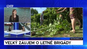 Ekonomika 24: Veľký záujem o letné brigády
