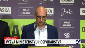 Tlačová beseda strany SaS a ich výzva ministerstvu hospodárstva