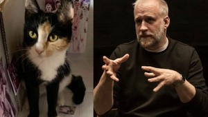 Režisér Bebjak hľadá svoju stratenú mačičku, ponúka ODMENU