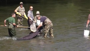 Hron po ekologickej havárii: Rybári stále bojujú o obnovu rieky