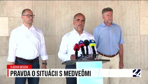 Tlačová beseda strany KDH k problematike medveďa hnedého