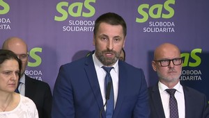Tlačová beseda strany SAS o výzve premiérovi a ministrom