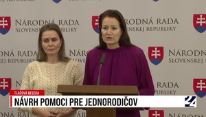 Tlačová beseda: Návrh pomoci pre jednorodičov