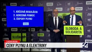 Tlačová beseda strany SaS k cenám plynu a elektriny