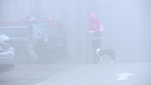 Slovensko v bielom: Posledné týždne viditeľnosť znižuje hustá hmla