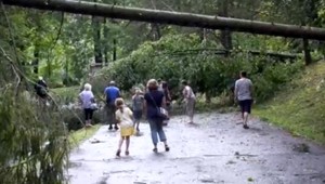 Kúpeľným mestom sa prehnala smršť. Polamála desiatky stromov