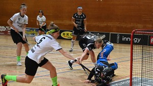 Nečakane hladká záležitosť: Kysučanky nadeľovali na Šariši