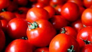 Súťažný kvíz: Vyšľachtené potraviny ako budúcnosť ľudstva? Europoslanci chcú dať poľnohospodárom možnosti