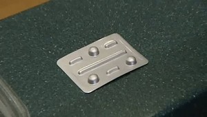 V Rakúsku sa objavila kvapavka odolná voči antibiotikám