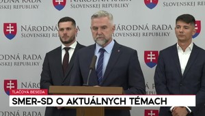 Smer útočí na mimovládku Šimečkovej matky: Chcú preveriť eurofondy