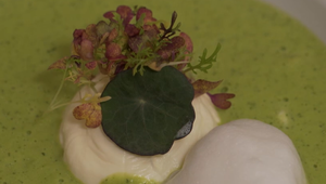 Polievka: Toto C sa piť nebude