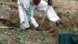 Nové informácie o zakopanom tele v lese. Smerujú ku krutej vražde