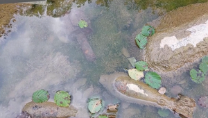 Žena počas prechádzky našla v potoku vojenskú muníciu