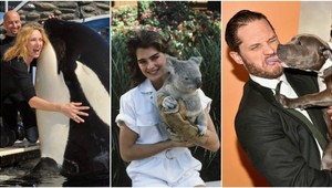 Ktorá celebrita má najkrajšieho kamoša z ríše zvierat?