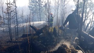 Vo Vysokých Tatrách horelo, zasiahol plochu o veľkosti jedného hektára