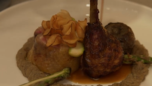 Hlavné jedlo: Som malý a nelietavý