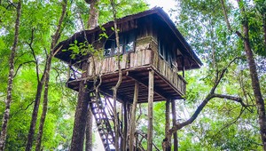 Najkrajšie domy na strome: Kde by ste chceli žiť vy?