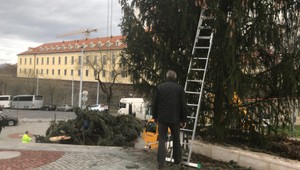 Pred parlamentom menia stromček,  z bezpečnostných dôvodov