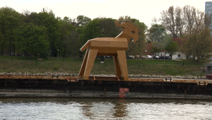 Atrakcia na Dunaji: Do Bratislavy priplávalo gigantické zviera