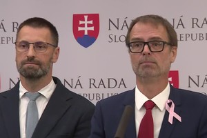 Tlačová beseda strany SaS: Výzva premiérovi a ministrovi