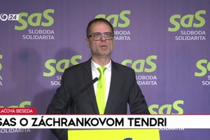 Tlačová beseda SaS o záchrankovom tendri