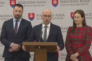 Tlačová beseda strany SaS o energopomoci