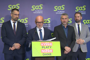Tlačová beseda strany SaS: Plán ako naštartovať ekonomiku