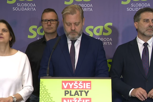 Tlačová beseda strany SaS: Informácie o únose Vietnamca