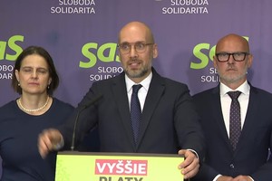 Tlačová beseda SaS o výzve k vláde