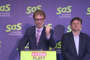 Tlačová beseda strany SaS k politickým témam