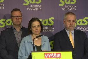 Tlačová beseda SaS v reakcii na novelu Ústavy