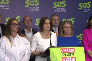 Tlačová beseda SaS k riešeniam na ochranu žien