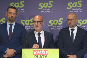Tlačová beseda strany SaS o cenách palív