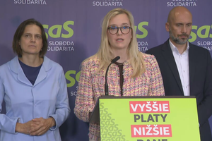 Tlačová beseda SaS k rokovaniu vlády