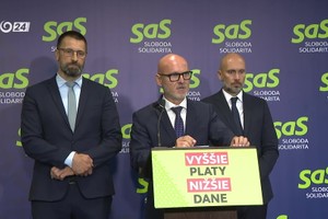 Tlačová beseda strany SaS: Pravda o spore s jadrom