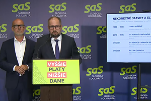 Tlačová beseda strany SAS o rezorte dopravy