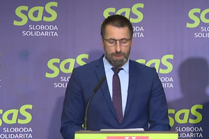 Tlačová beseda strany SaS k "langošovej" kauze