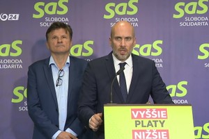 Tlačová beseda strany SaS k aktuálnej politickej situácii