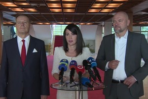 TB hnutia Sme rodina a Sulíkovci: Parlamentná spolupráca