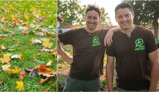 Chcete, aby bol váš trávnik na jar krásny a hustý? TÝCHTO 5 vecí s ním urobte ešte teraz!