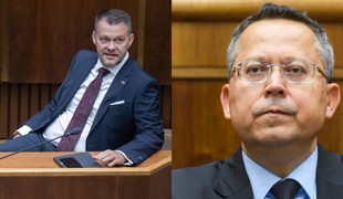 Migaľa ani Kamenického parlament neodvolával. Šimečka: Neprejavili minimálnu úctu