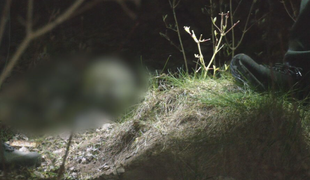 Mrazivý objav počas prechádzky: Kostra ležala v lese minimálne tri roky