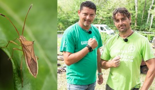 Bzdochy môžu kompletne zničiť vašu úrodu: 3 tipy, s ktorými sa ich zbavíte raz a navždy!