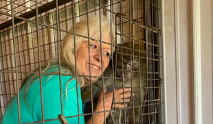 Pestúnka mala poslať dievča do iného štátu výmenou za opicu. Žena (70) do väzenia nepôjde