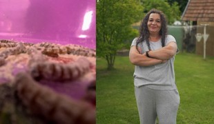 Nora v Bez servítky štartuje ZHURTA: ČERVÍKY na menu a Jano, ktorý pobaví aj šokuje!