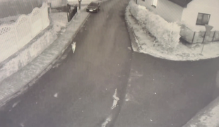 Veterinár mal usmrtiť 11-mesačné šteňa kvôli agresivite. Prípad vyšetruje enviro polícia