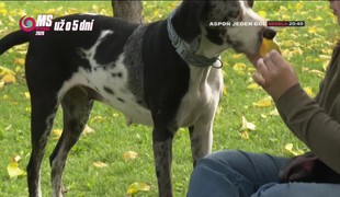 Miláčikovo