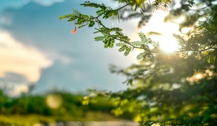 Piatok trinásteho prinesie až 18°C