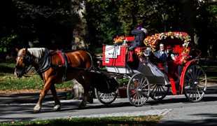 Koniec legendárnej atrakcie v New Yorku? Mesto schválilo zákaz konských povozov