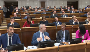 Podľa SaS za infringement sú zodpovední všetci poslanci, ktorí podporili zmenu ústavy